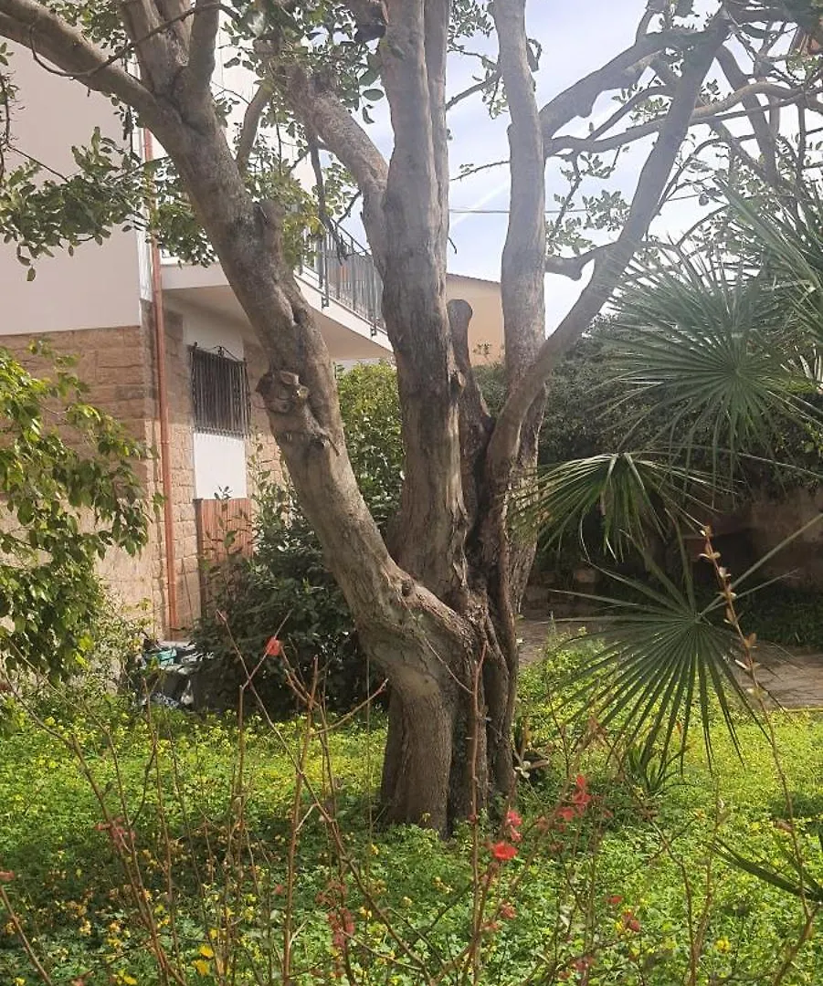 Il Carrubo Lägenhet Alghero